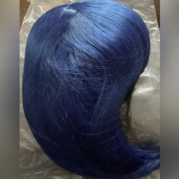 Brand New Blue Wig - Picture 1 of 6